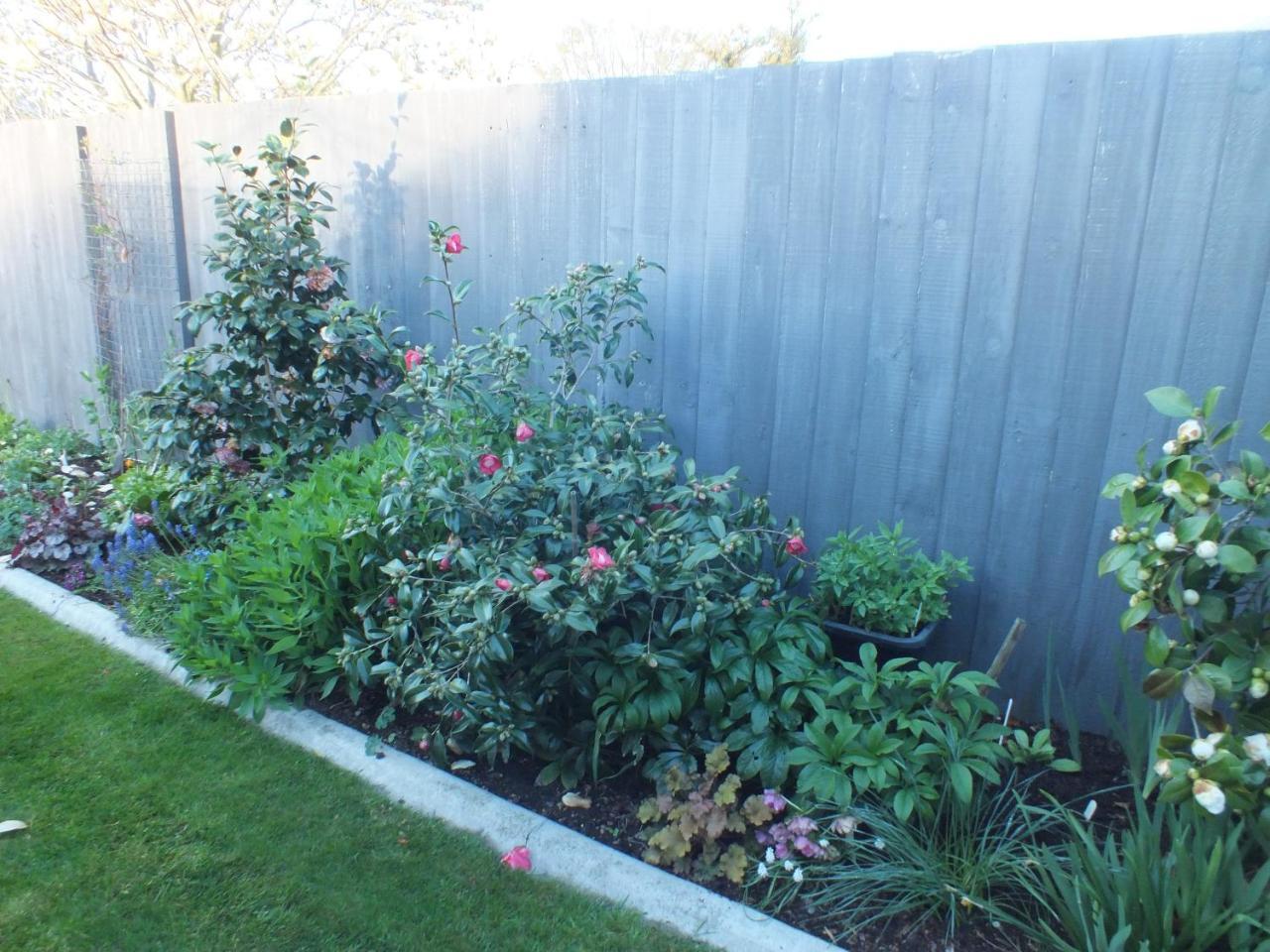 Perfect Home, Stunning Gardens - Aidanfield Gardens Bellissimo Christchurch Exterior photo