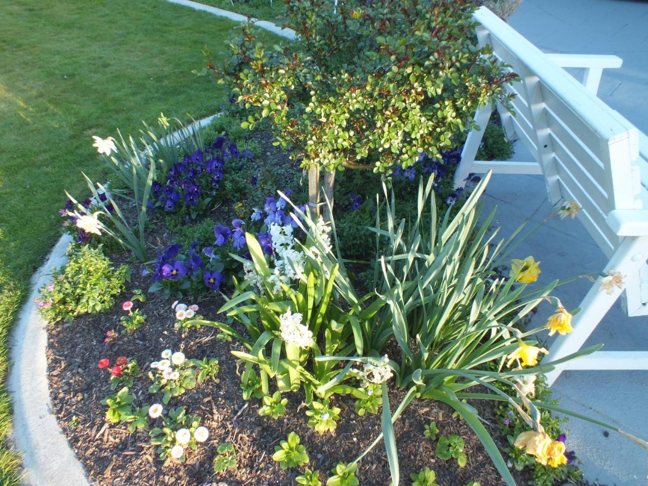 Perfect Home, Stunning Gardens - Aidanfield Gardens Bellissimo Christchurch Exterior photo