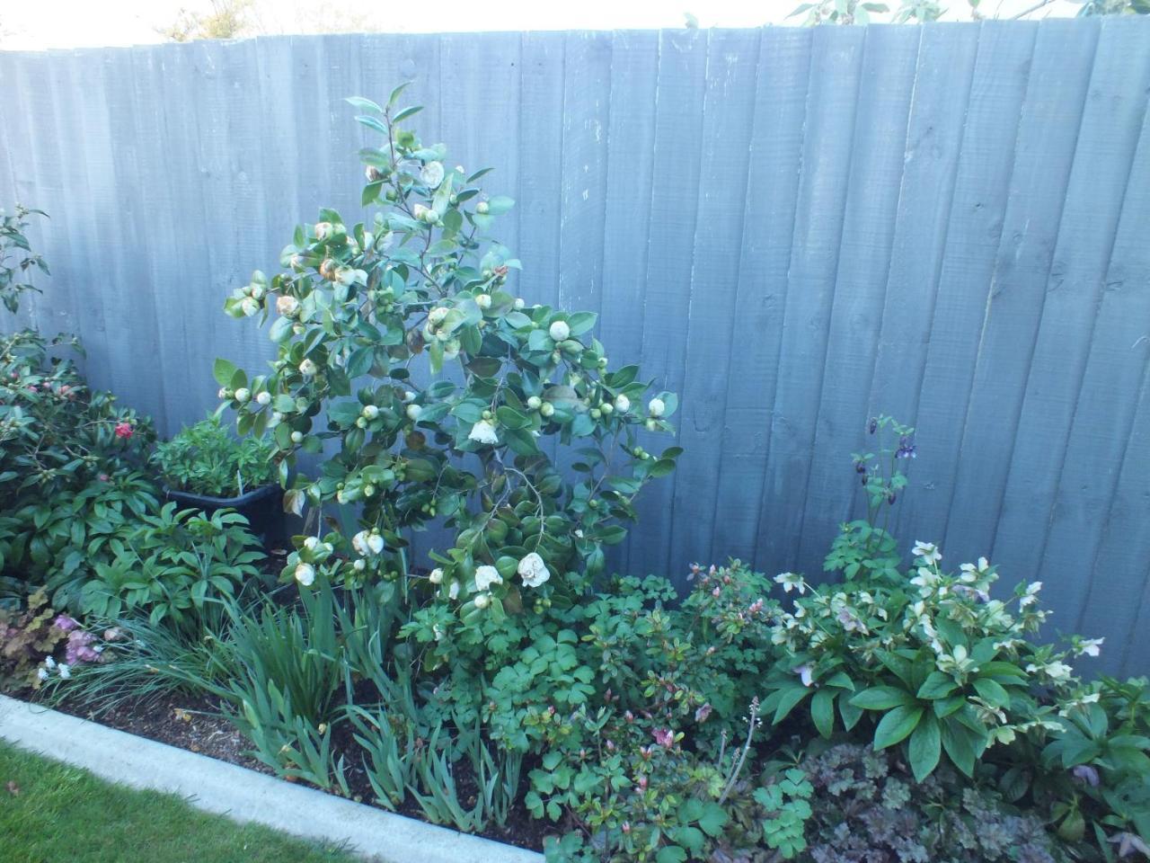Perfect Home, Stunning Gardens - Aidanfield Gardens Bellissimo Christchurch Exterior photo