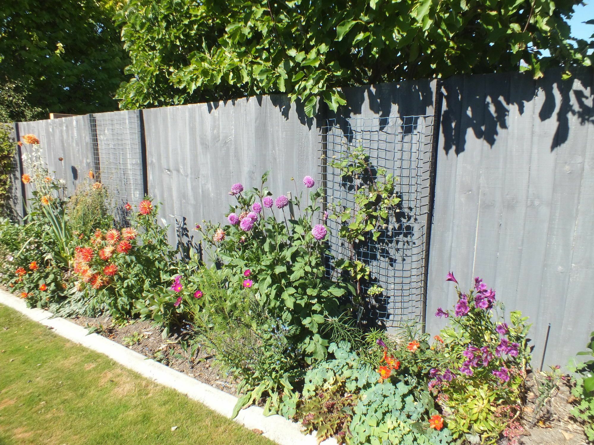 Perfect Home, Stunning Gardens - Aidanfield Gardens Bellissimo Christchurch Exterior photo