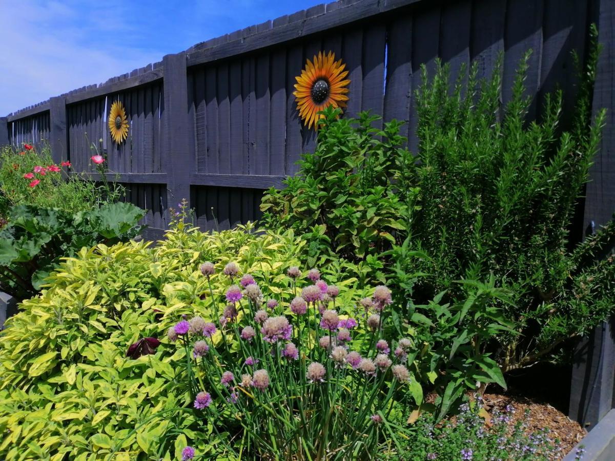 Perfect Home, Stunning Gardens - Aidanfield Gardens Bellissimo Christchurch Exterior photo