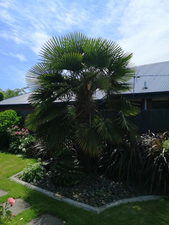 Perfect Home, Stunning Gardens - Aidanfield Gardens Bellissimo Christchurch Exterior photo